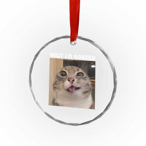 Funny Silly Cat Meme Crystal Glass Ornament Wait Im Goated