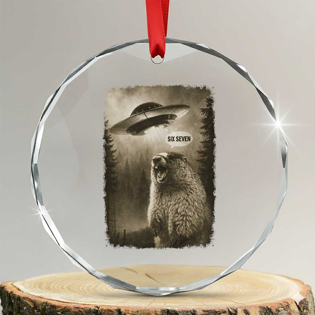 Funny Six Seven Crystal Glass Ornament Screaming Groundhog UFO Meme TS14 Transparent Glass 3'' Circle Print Your Wear