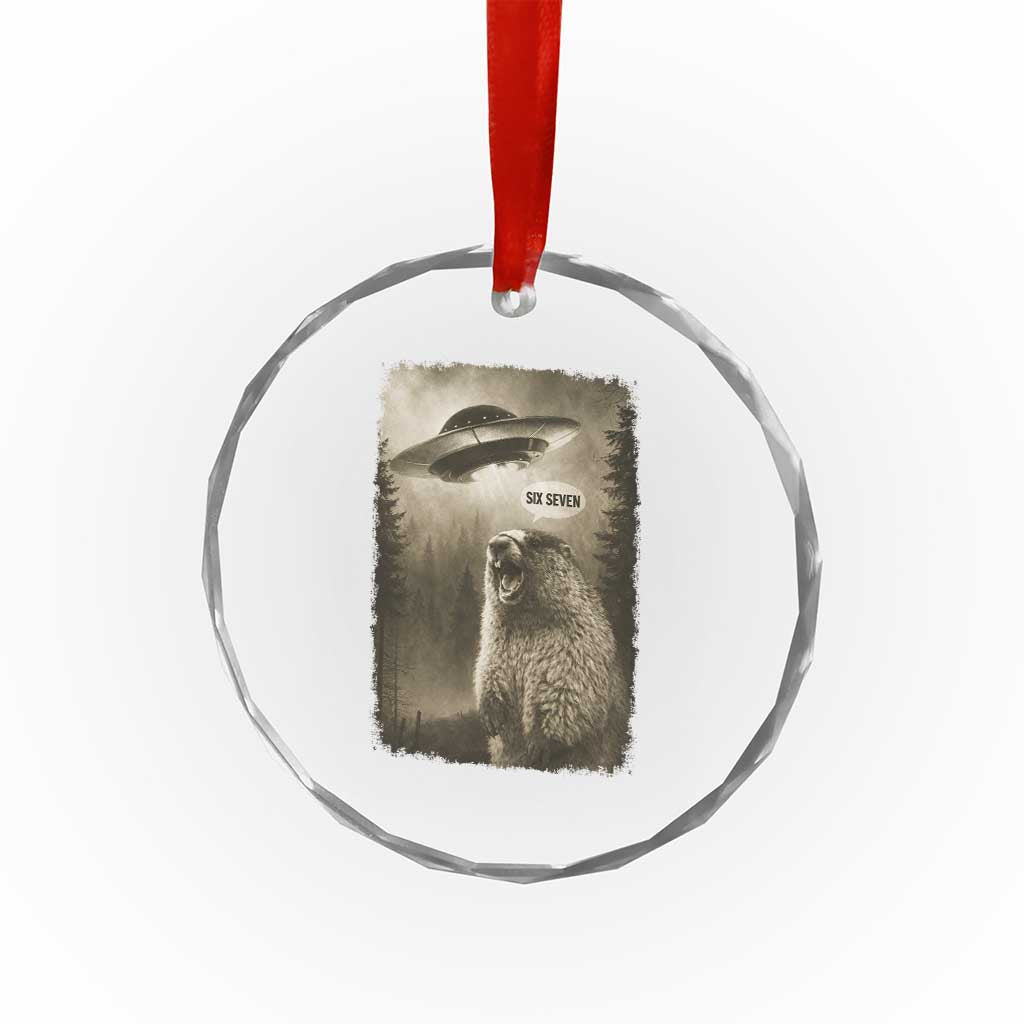Funny Six Seven Crystal Glass Ornament Screaming Groundhog UFO Meme TS14 Print Your Wear