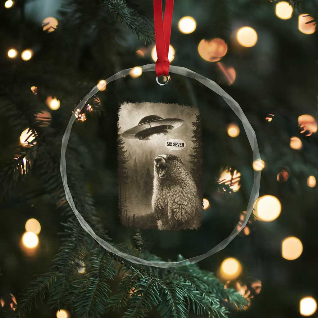 Funny Six Seven Crystal Glass Ornament Screaming Groundhog UFO Meme TS14 Print Your Wear