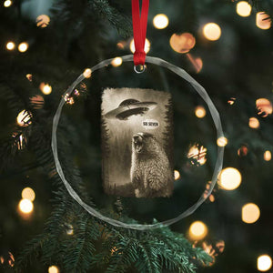 Funny Six Seven Crystal Glass Ornament Screaming Groundhog UFO Meme TS14 Print Your Wear