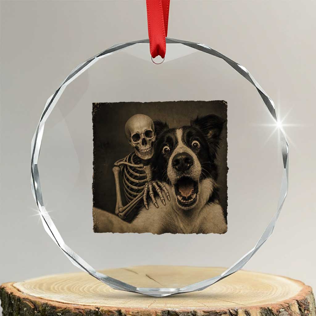 Funny Skeleton Selfie With Border Collie Crystal Glass Ornament Halloween Spooky Dog Lover Gift TS12 Transparent Glass 3'' Circle Print Your Wear