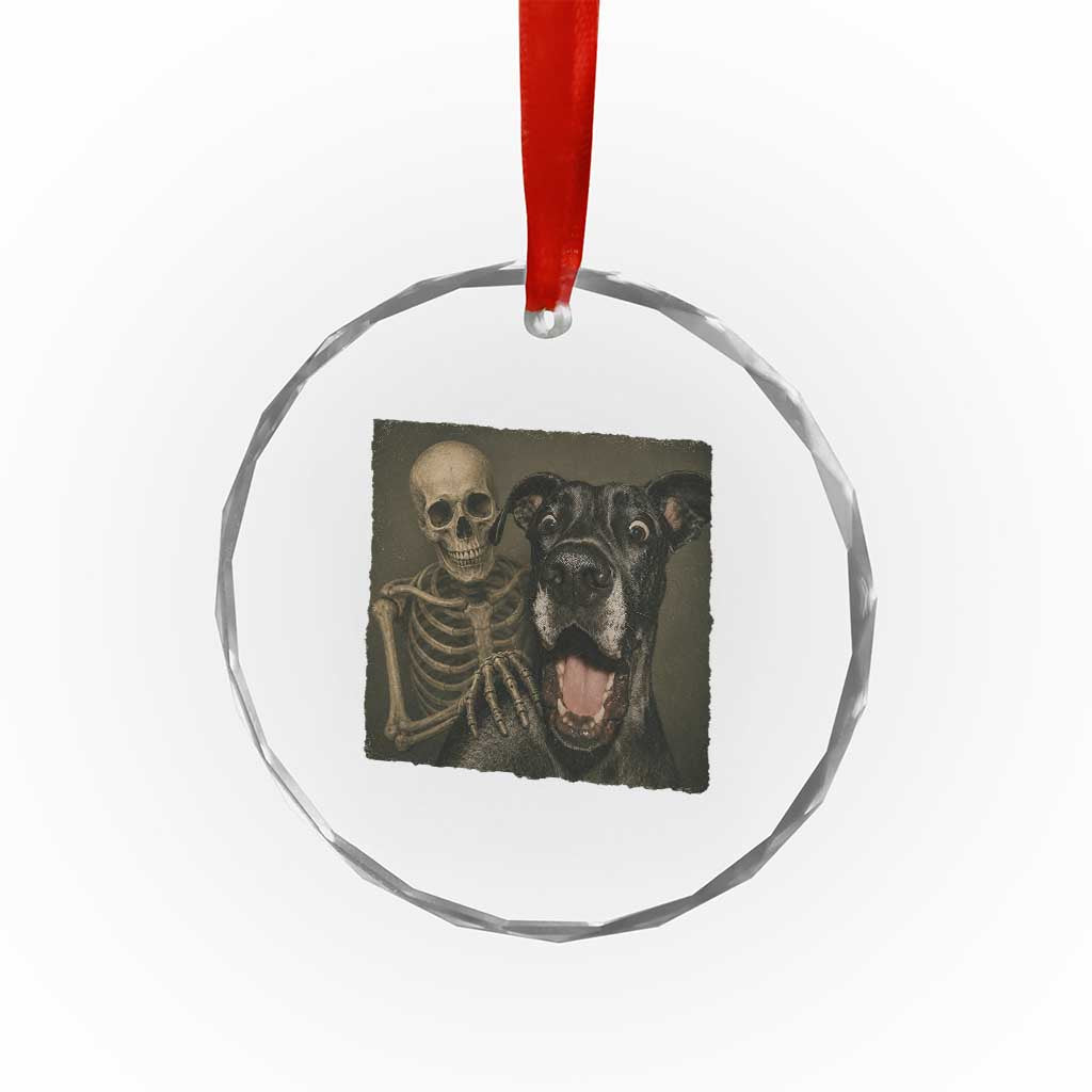 Funny Skeleton Selfie With Great Dane Crystal Glass Ornament Halloween Spooky Dog Lover Gift