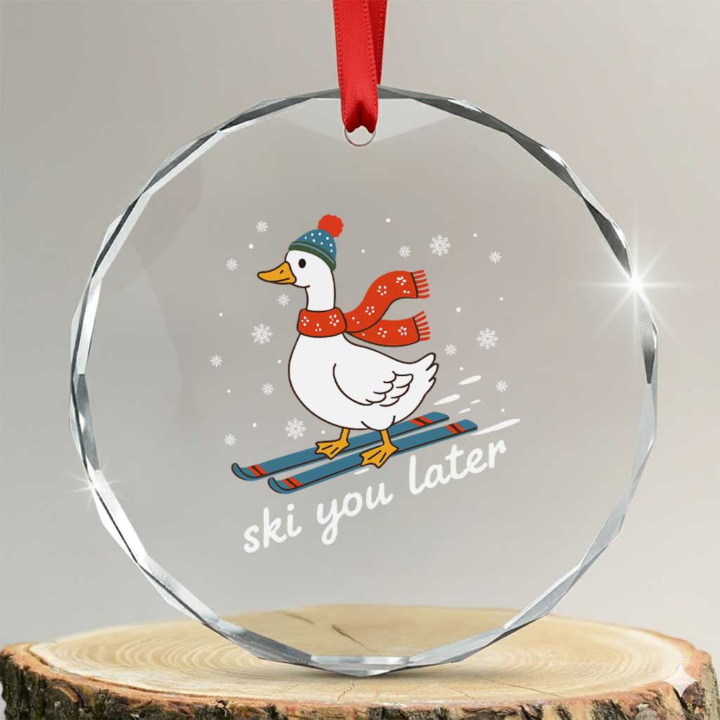 Funny Skiing Goose Crystal Glass Ornament Ski You Later Winter Vacation Sport TS11 Transparent Glass 3'' Circle Print Your Wear