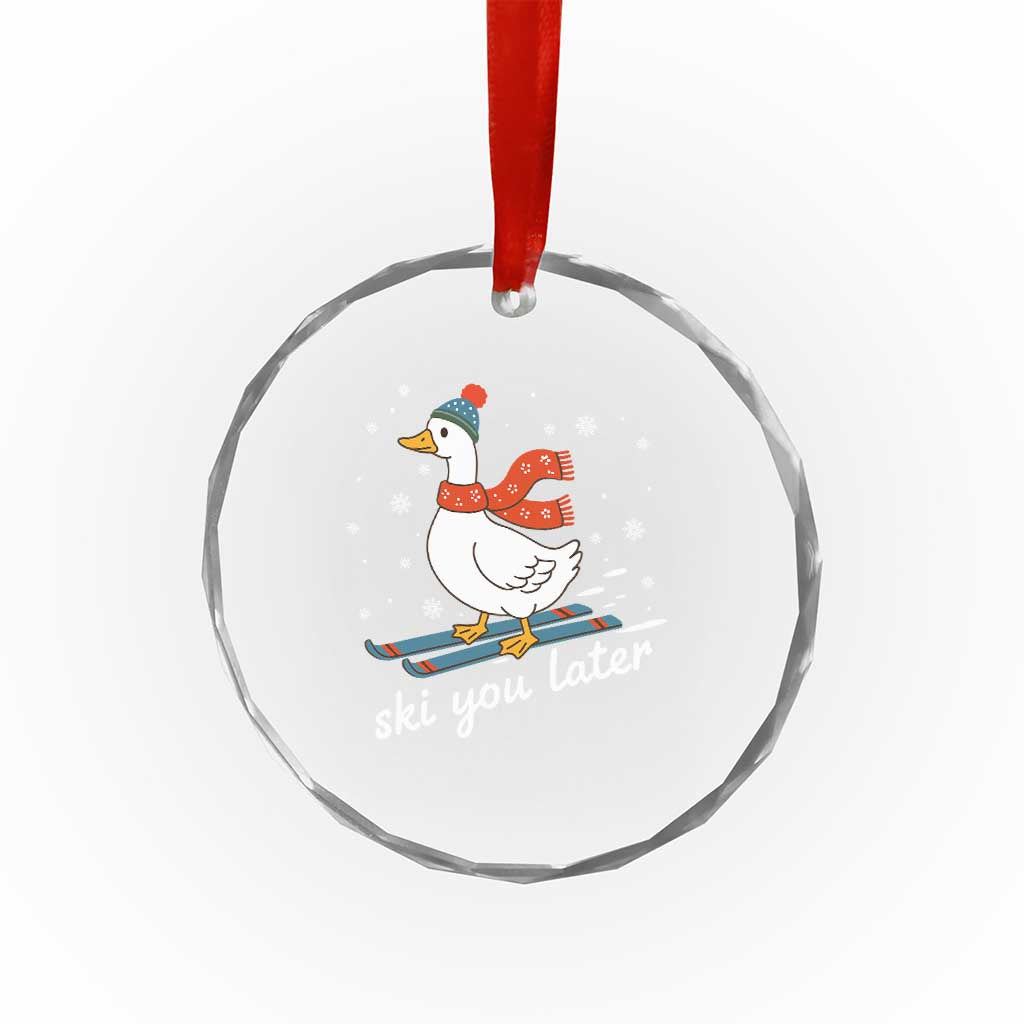 Funny Skiing Goose Crystal Glass Ornament Ski You Later Winter Vacation Sport TS11 Print Your Wear
