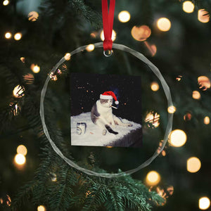 Funny Smoking Cat Christmas Meme Crystal Glass Ornament TS14 Print Your Wear