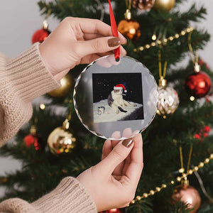 Funny Smoking Cat Christmas Meme Crystal Glass Ornament TS14 Print Your Wear