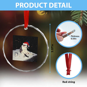 Funny Smoking Cat Christmas Meme Crystal Glass Ornament TS14 Print Your Wear