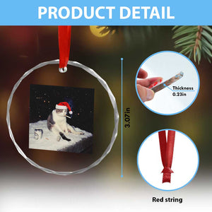 Funny Smoking Cat Christmas Meme Crystal Glass Ornament TS14 Print Your Wear