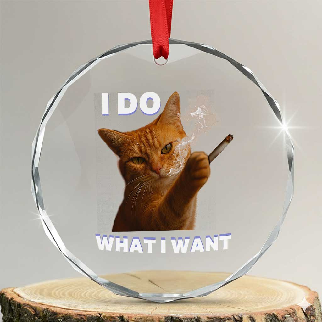 Funny Smoking Cat Crystal Glass Ornament I Do What I Want Sarcastic Cats Meme TS12 Transparent Glass 3'' Circle Print Your Wear