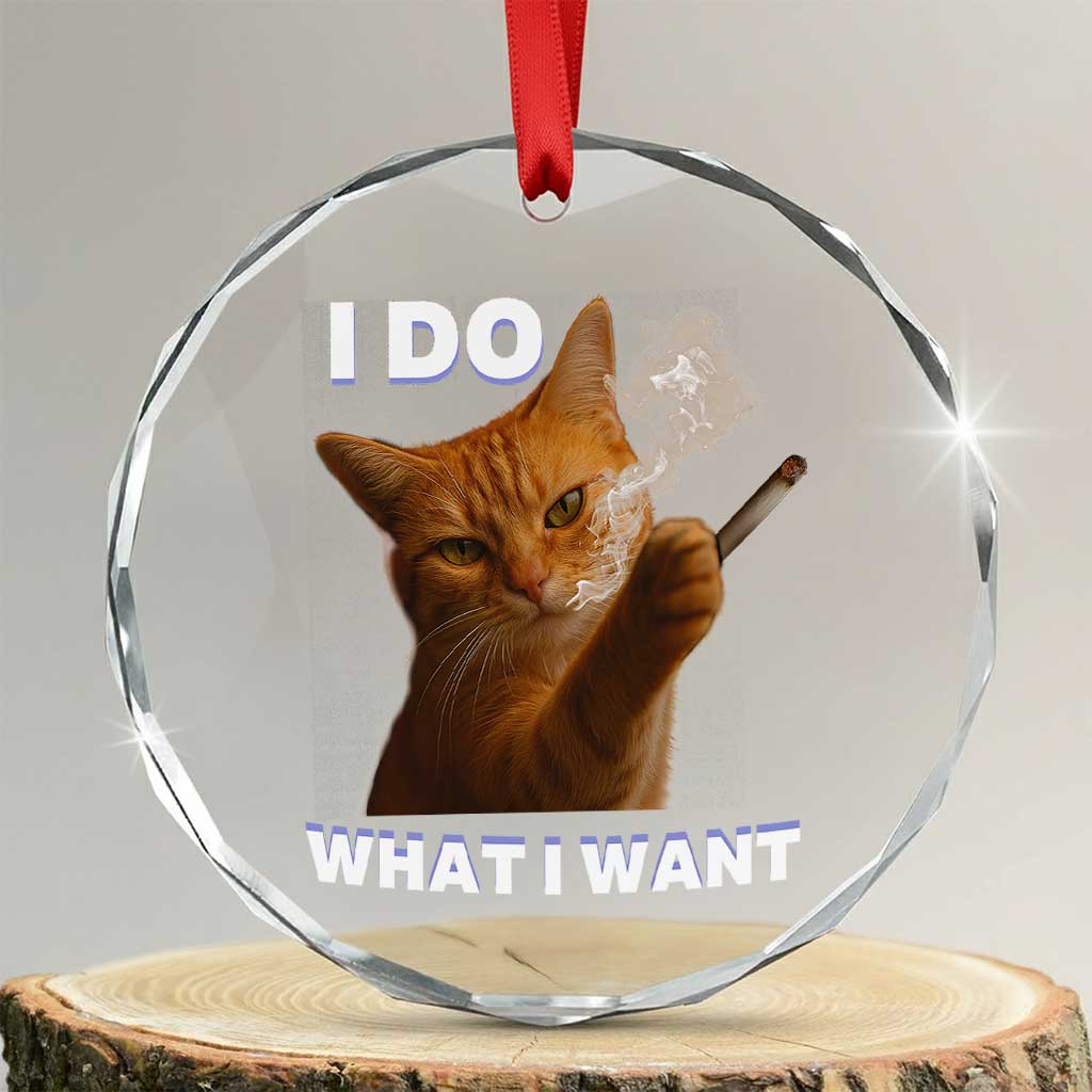 Funny Smoking Cat Crystal Glass Ornament I Do What I Want Sarcastic Cats Meme TS12 Transparent Glass 3'' Circle Print Your Wear