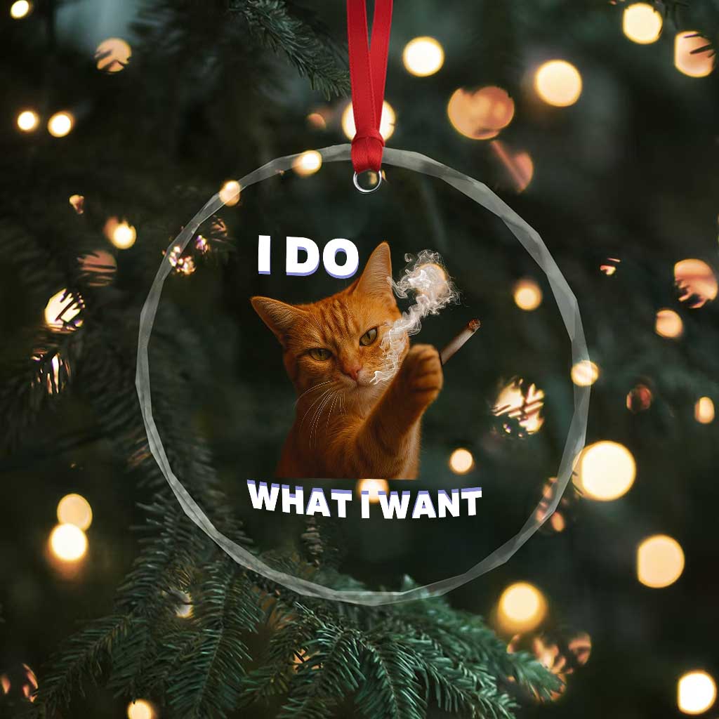 Funny Smoking Cat Crystal Glass Ornament I Do What I Want Sarcastic Cats Meme TS12 Print Your Wear