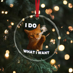 Funny Smoking Cat Crystal Glass Ornament I Do What I Want Sarcastic Cats Meme TS12 Print Your Wear