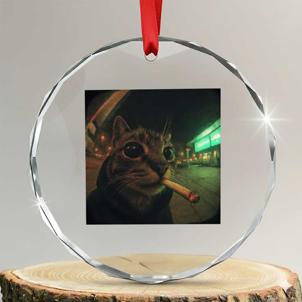 Funny Smoking Cat Crystal Glass Ornament Retro 90s Grunge Cat Selfie Streetwear Meme TS10 Transparent Glass 3'' Circle Print Your Wear