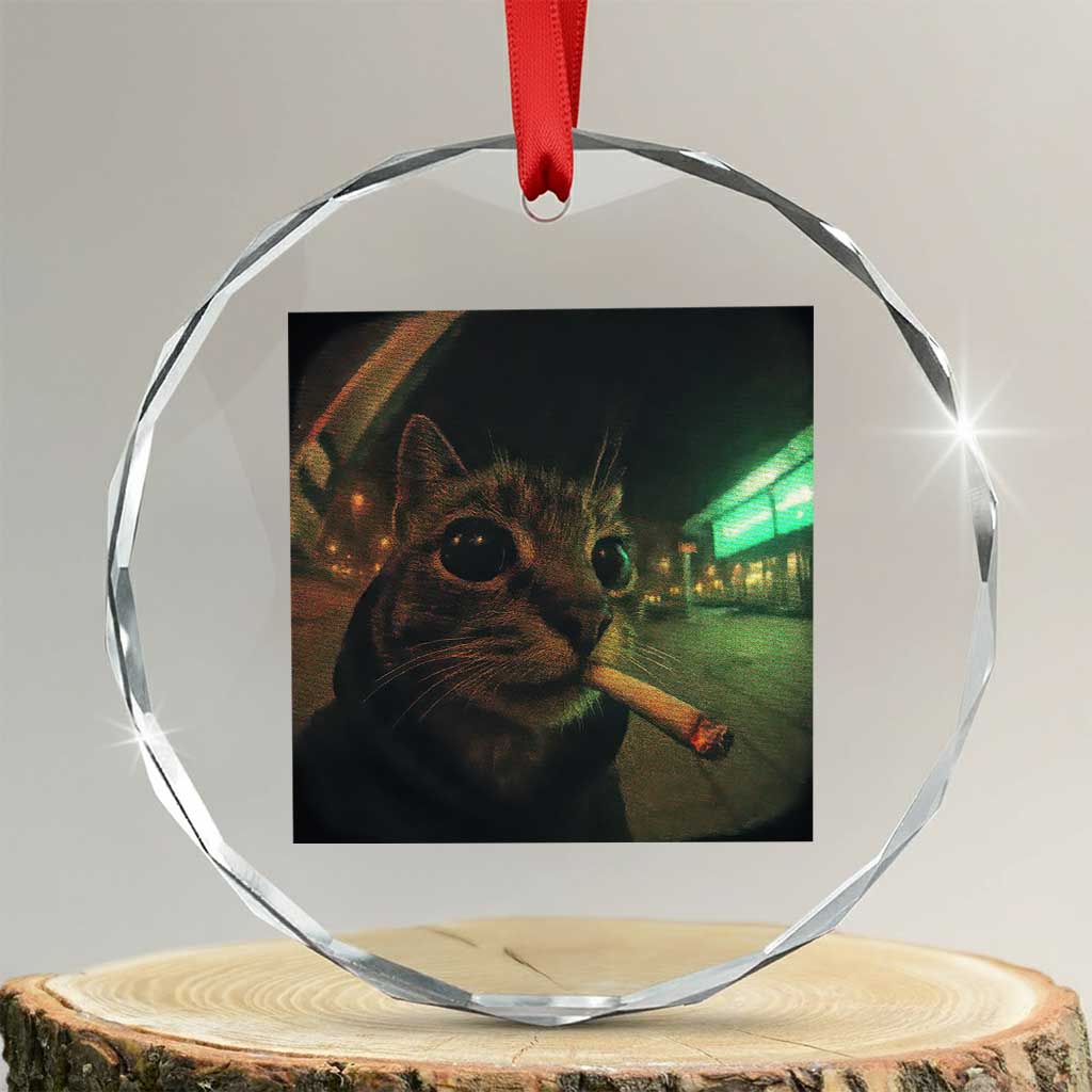 Funny Smoking Cat Crystal Glass Ornament Retro 90s Grunge Cat Selfie Streetwear Meme TS10 Transparent Glass 3'' Circle Print Your Wear