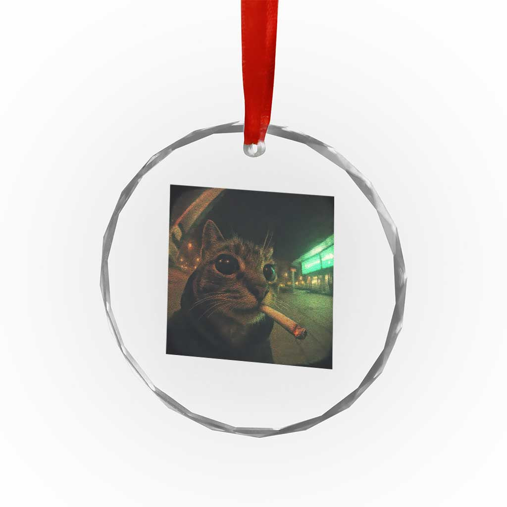 Funny Smoking Cat Crystal Glass Ornament Retro 90s Grunge Cat Selfie Streetwear Meme TS10 Print Your Wear