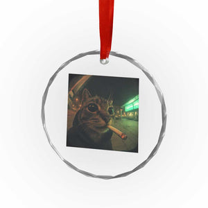 Funny Smoking Cat Crystal Glass Ornament Retro 90s Grunge Cat Selfie Streetwear Meme TS10 Print Your Wear