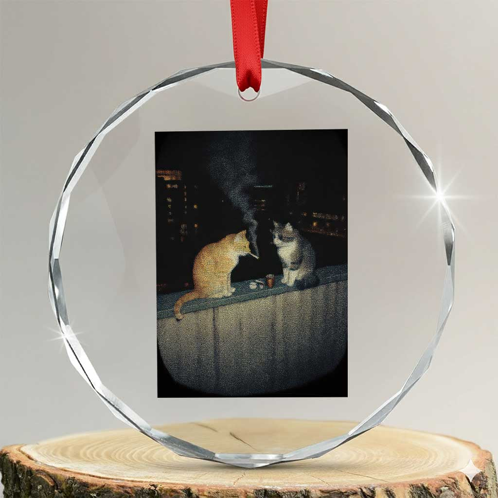 Funny Smoking Cat Crystal Glass Ornament Retro 90s Grunge Kitty Streetwear Meme TS10 Transparent Glass 3'' Circle Print Your Wear
