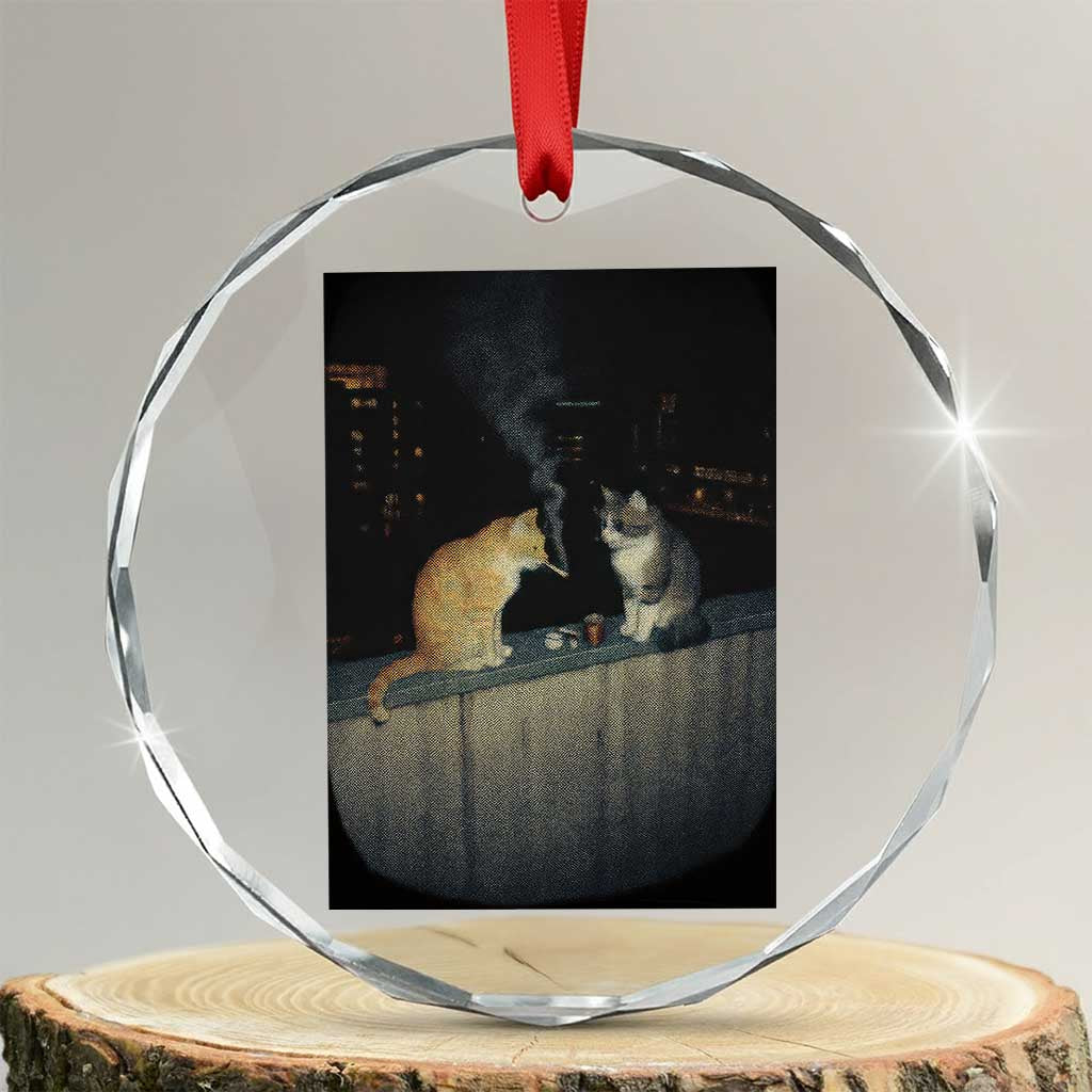 Funny Smoking Cat Crystal Glass Ornament Retro 90s Grunge Kitty Streetwear Meme TS10 Transparent Glass 3'' Circle Print Your Wear