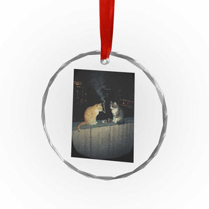 Funny Smoking Cat Crystal Glass Ornament Retro 90s Grunge Kitty Streetwear Meme TS10 Print Your Wear