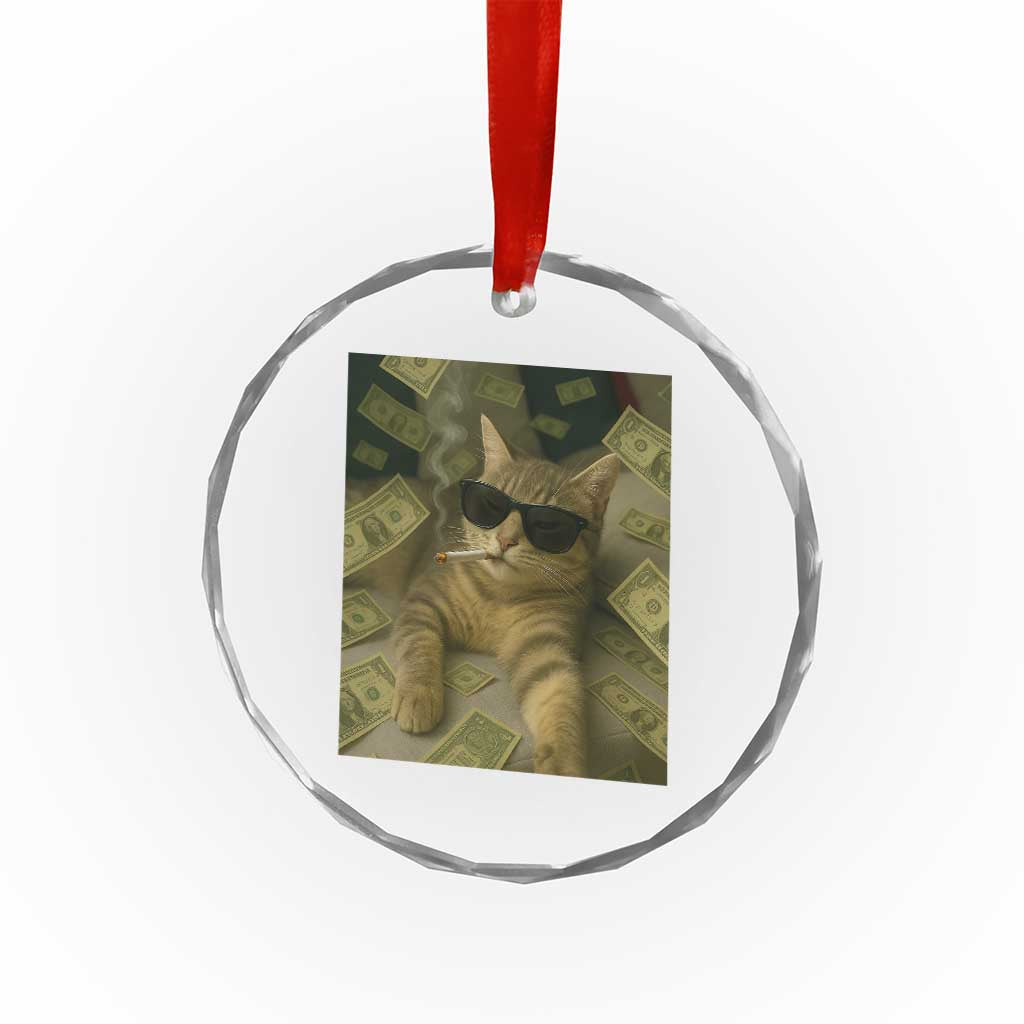 Funny Smoking Cat Selfie Meme Crystal Glass Ornament Gen Z Joke TS14 Print Your Wear