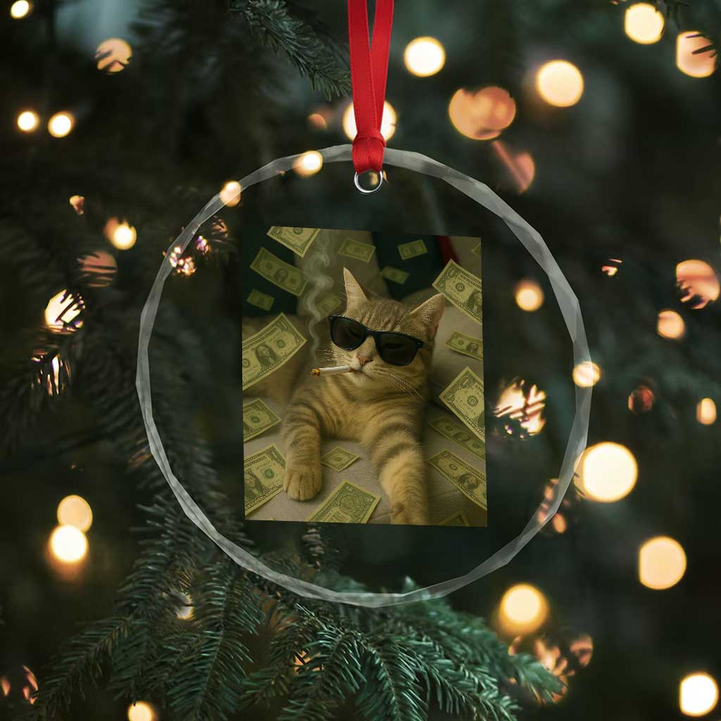 Funny Smoking Cat Selfie Meme Crystal Glass Ornament Gen Z Joke TS14 Print Your Wear
