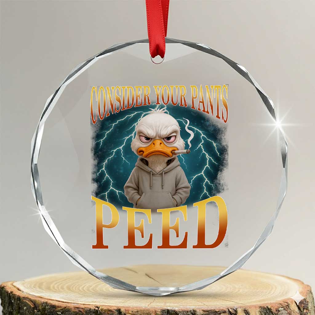 Funny Smoking Goose Meme Crystal Glass Ornament Consider Your Pants Peed TS14 Transparent Glass 3'' Circle Print Your Wear