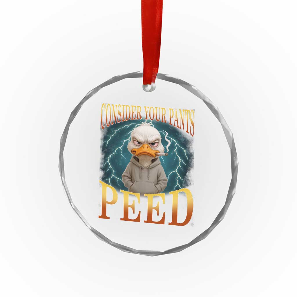 Funny Smoking Goose Meme Crystal Glass Ornament Consider Your Pants Peed TS14 Print Your Wear