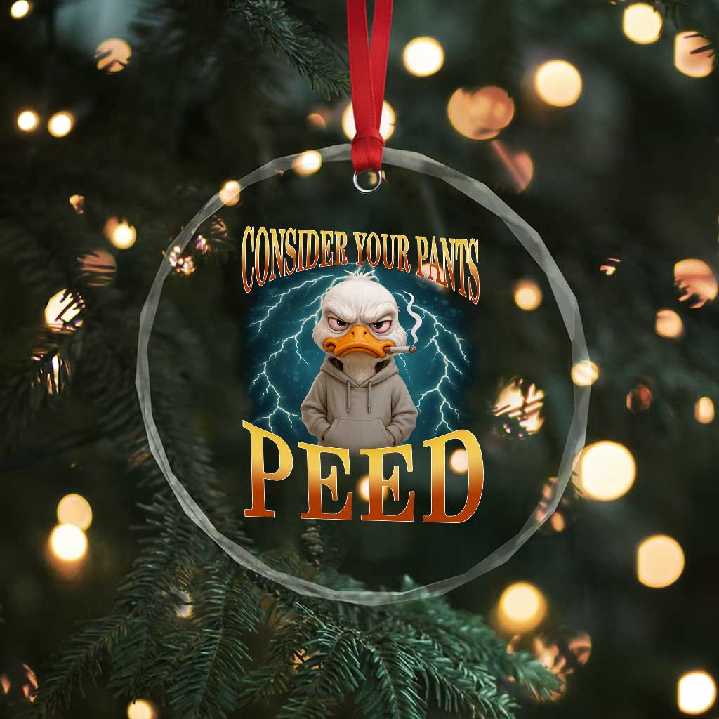 Funny Smoking Goose Meme Crystal Glass Ornament Consider Your Pants Peed TS14 Print Your Wear