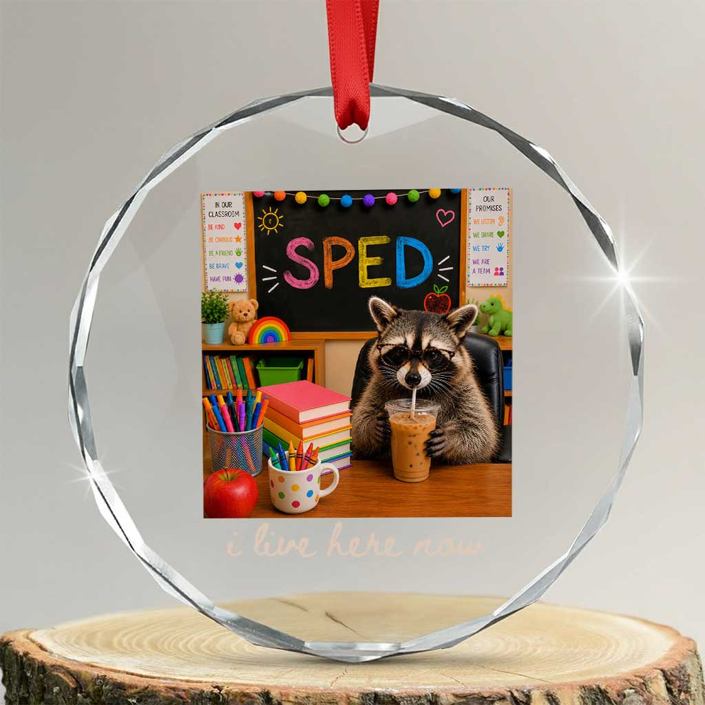 Funny SPED Raccoon Teacher Crystal Glass Ornament I Live Here Now TS12 Transparent Glass 3'' Circle Print Your Wear