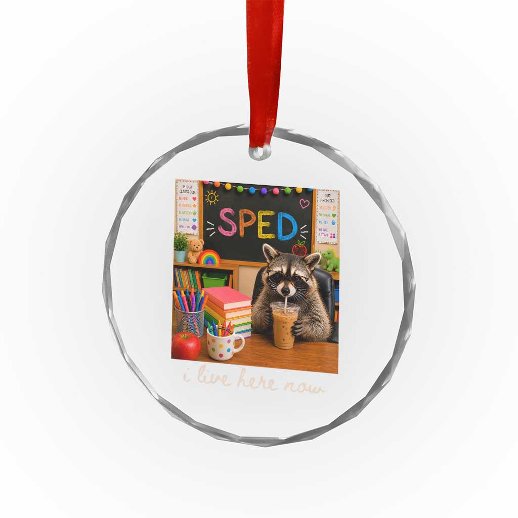 Funny SPED Raccoon Teacher Crystal Glass Ornament I Live Here Now TS12 Print Your Wear