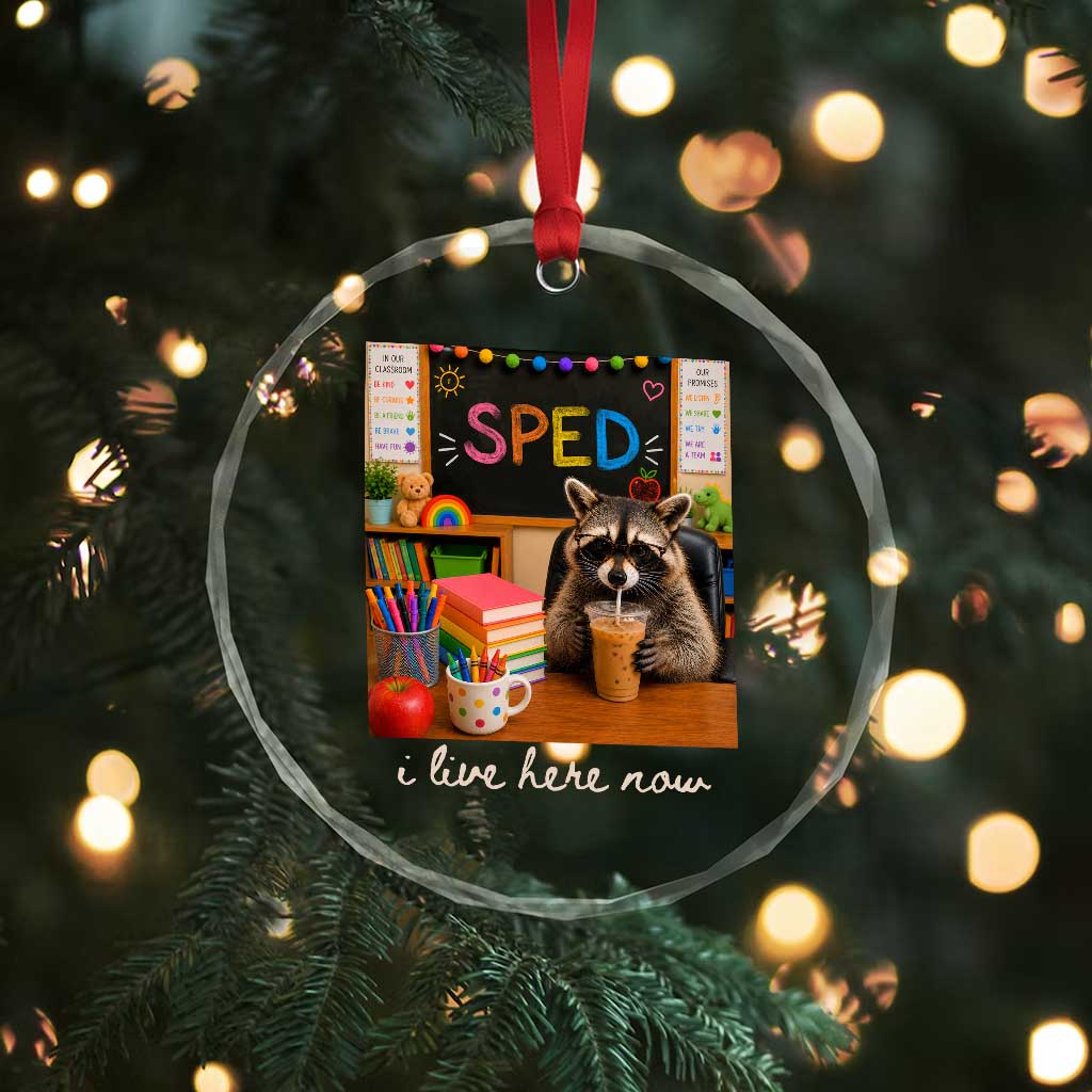 Funny SPED Raccoon Teacher Crystal Glass Ornament I Live Here Now TS12 Print Your Wear