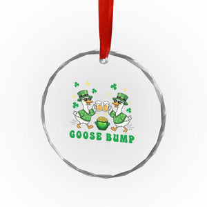 Funny St Patricks Day Goose Drinking Beer Crystal Glass Ornament Goose Bump TS14 Print Your Wear
