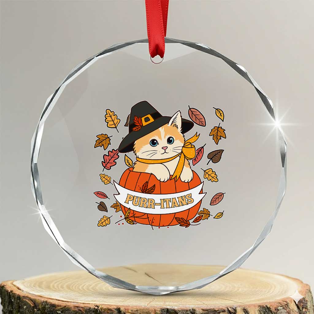 Funny Thanksgiving Cat Lover Crystal Glass Ornament Purritans Pilgrim Puritans Hat TS11 Transparent Glass 3'' Circle Print Your Wear