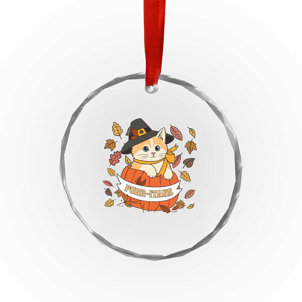 Funny Thanksgiving Cat Lover Crystal Glass Ornament Purritans Pilgrim Puritans Hat TS11 Print Your Wear