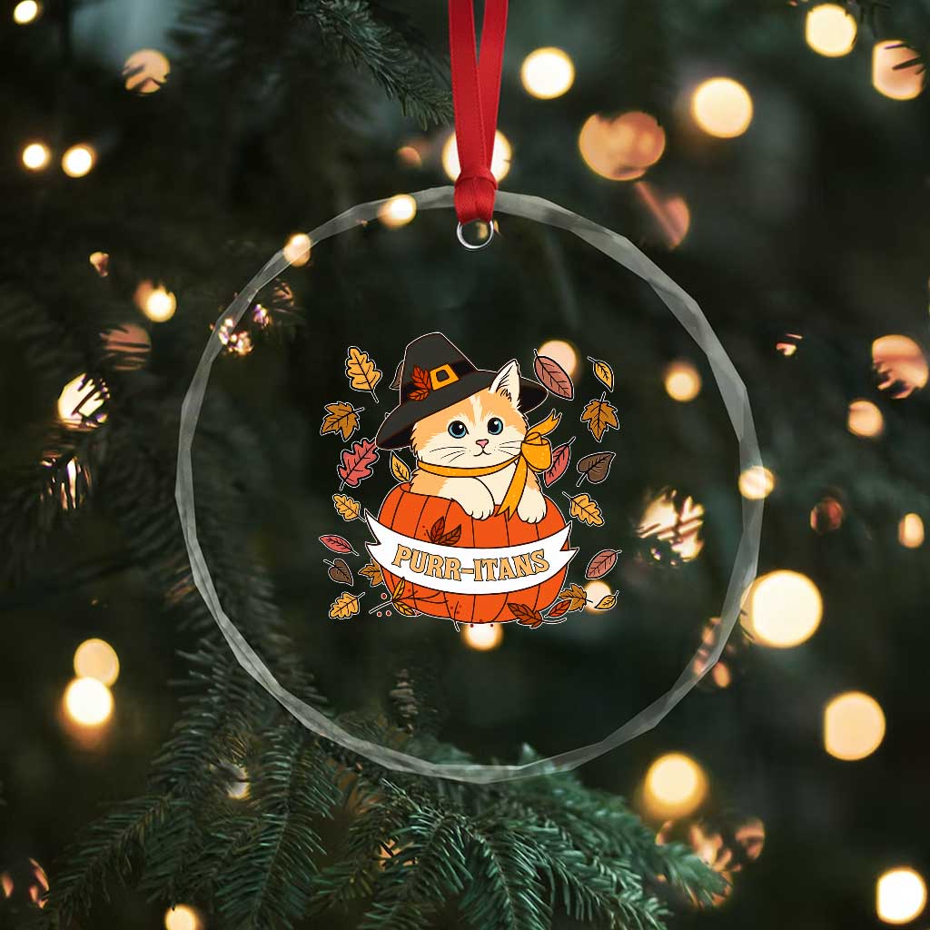 Funny Thanksgiving Cat Lover Crystal Glass Ornament Purritans Pilgrim Puritans Hat TS11 Print Your Wear