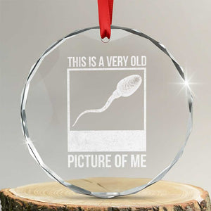 Funny This Is A Very Old Picture Of Me Crystal Glass Ornament Adult Humor Gag Gift TS11 Transparent Glass 3'' Circle Print Your Wear