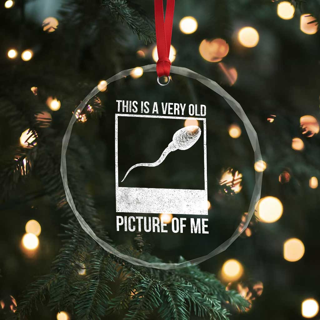 Funny This Is A Very Old Picture Of Me Crystal Glass Ornament Adult Humor Gag Gift TS11 Print Your Wear