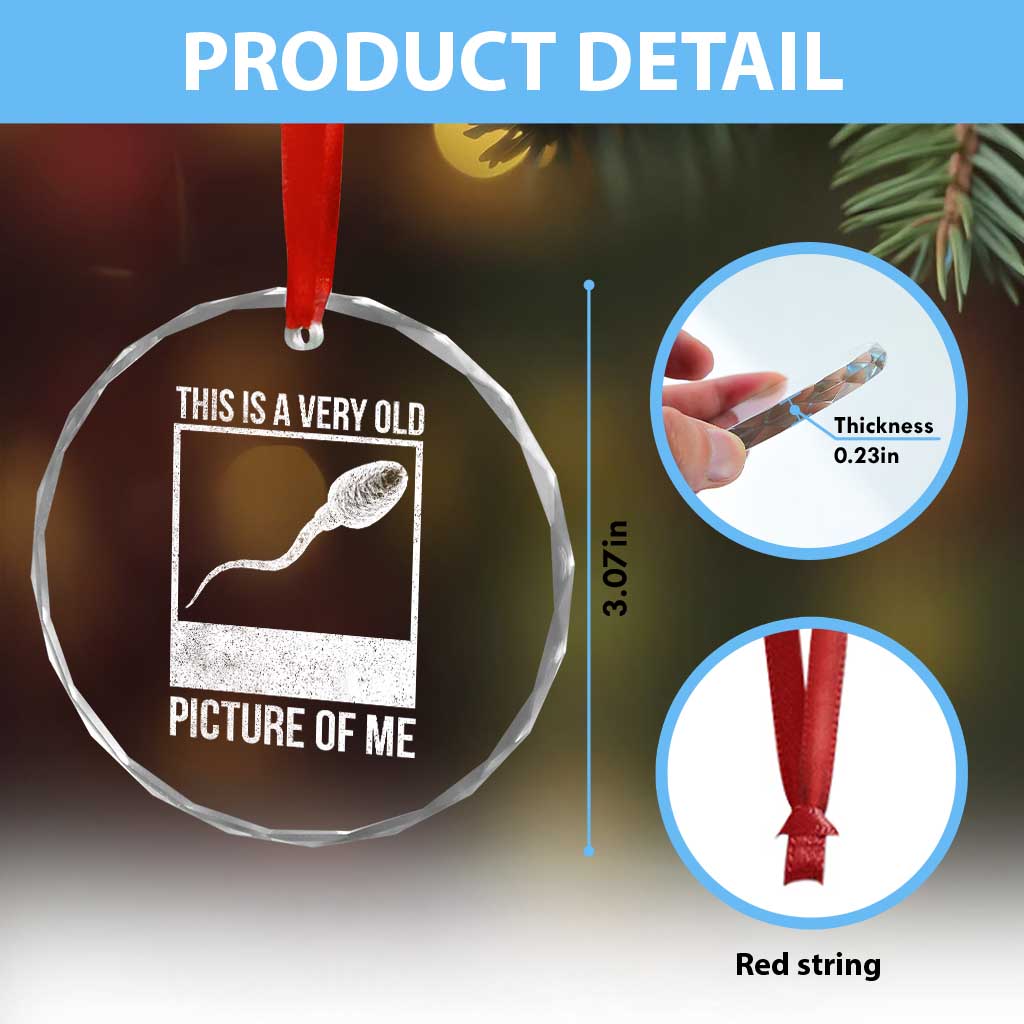 Funny This Is A Very Old Picture Of Me Crystal Glass Ornament Adult Humor Gag Gift TS11 Print Your Wear