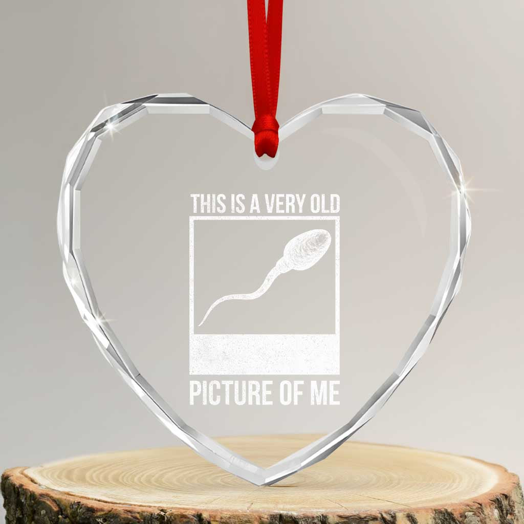 Funny This Is A Very Old Picture Of Me Heart Crystal Glass Ornament Adult Humor Gag Gift TS11 Transparent Glass 3'' Heart Print Your Wear