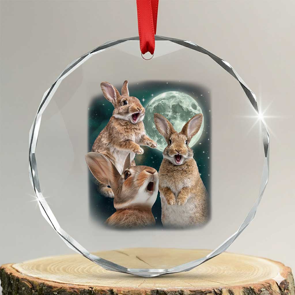 Funny Three Bunny Moon Humorous Rabbit Meme Crystal Glass Ornament TS11 Transparent Glass 3'' Circle Print Your Wear