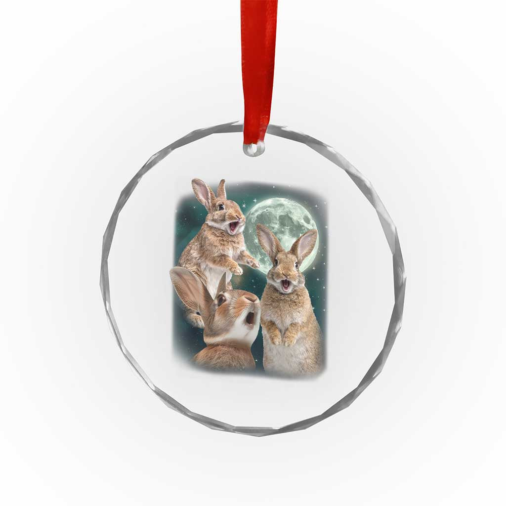 Funny Three Bunny Moon Humorous Rabbit Meme Crystal Glass Ornament TS11 Print Your Wear