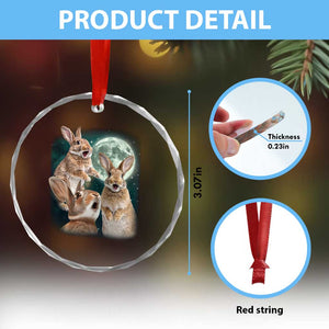 Funny Three Bunny Moon Humorous Rabbit Meme Crystal Glass Ornament TS11 Print Your Wear