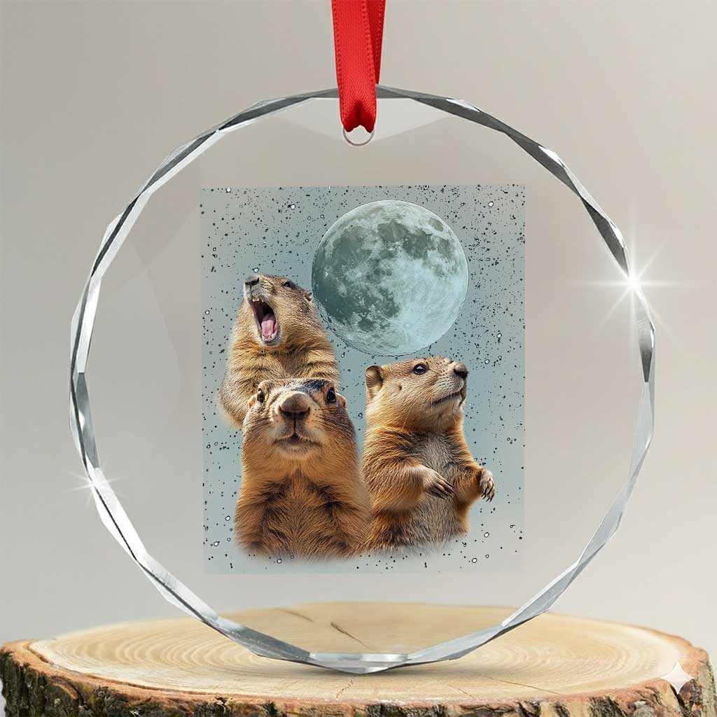 Funny Three Groundhog Meme Crystal Glass Ornament Woodchucks Under The Moon TS02 Transparent Glass 3'' Circle Print Your Wear