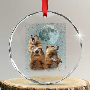 Funny Three Groundhog Meme Crystal Glass Ornament Woodchucks Under The Moon TS02 Transparent Glass 3'' Circle Print Your Wear