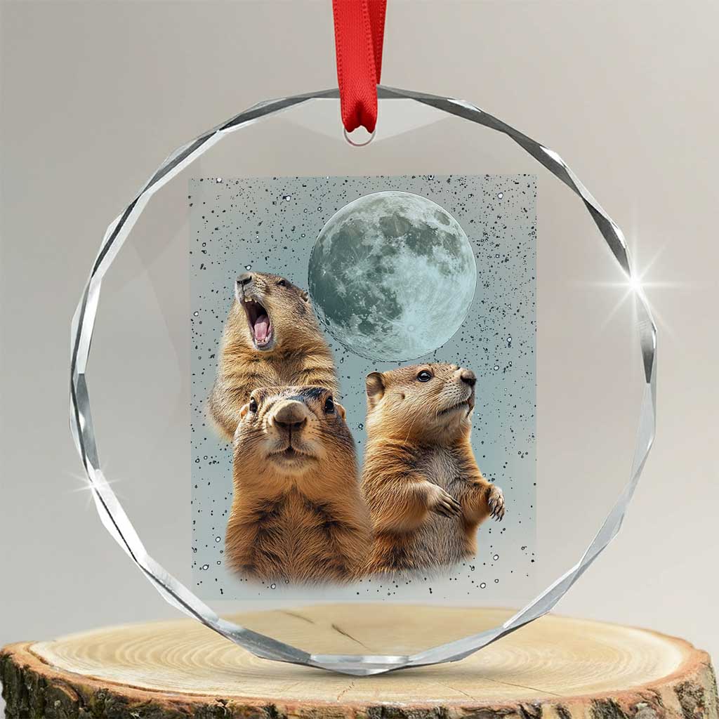 Funny Three Groundhog Meme Crystal Glass Ornament Woodchucks Under The Moon TS02 Transparent Glass 3'' Circle Print Your Wear