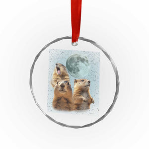 Funny Three Groundhog Meme Crystal Glass Ornament Woodchucks Under The Moon TS02 Print Your Wear
