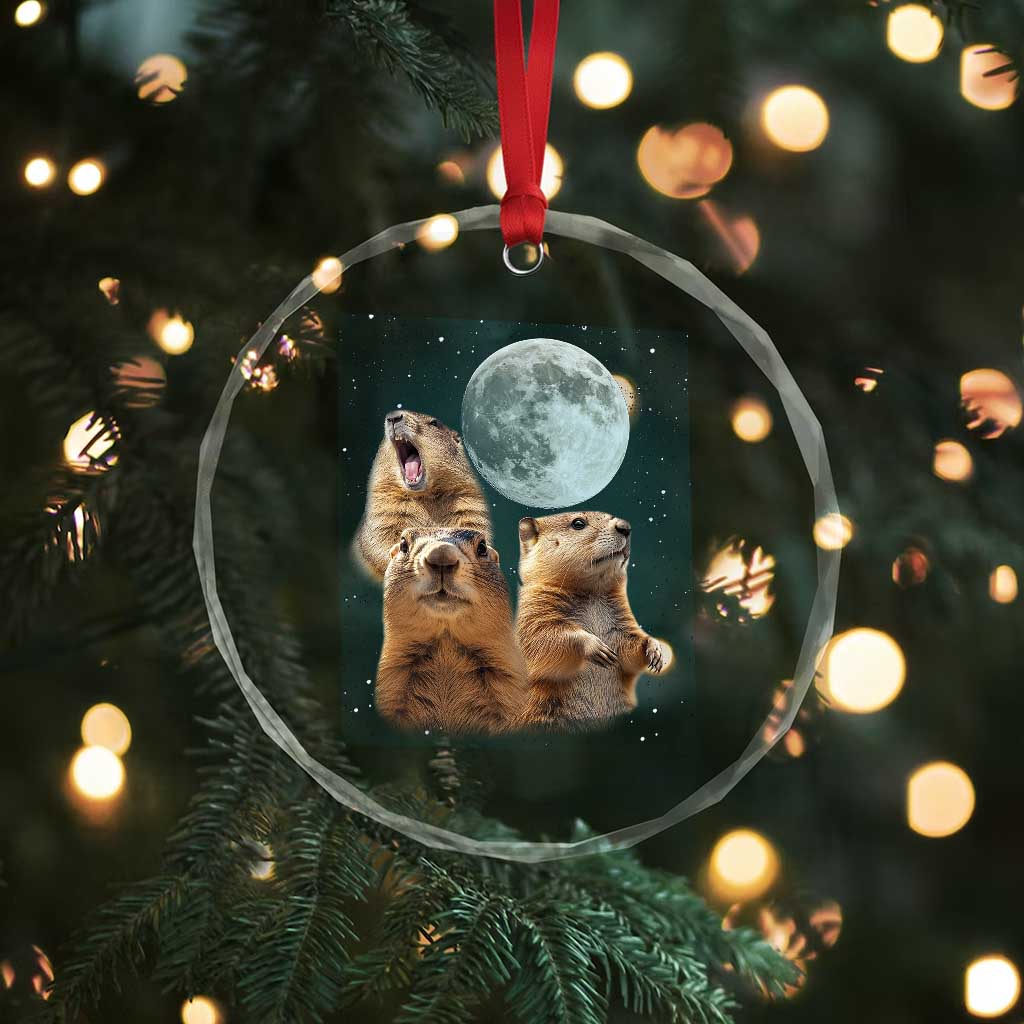 Funny Three Groundhog Meme Crystal Glass Ornament Woodchucks Under The Moon TS02 Print Your Wear