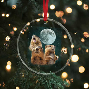 Funny Three Groundhog Meme Crystal Glass Ornament Woodchucks Under The Moon TS02 Print Your Wear
