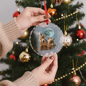 Funny Three Groundhog Meme Crystal Glass Ornament Woodchucks Under The Moon TS02 Print Your Wear